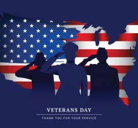 usa-veterans-day-free-vector